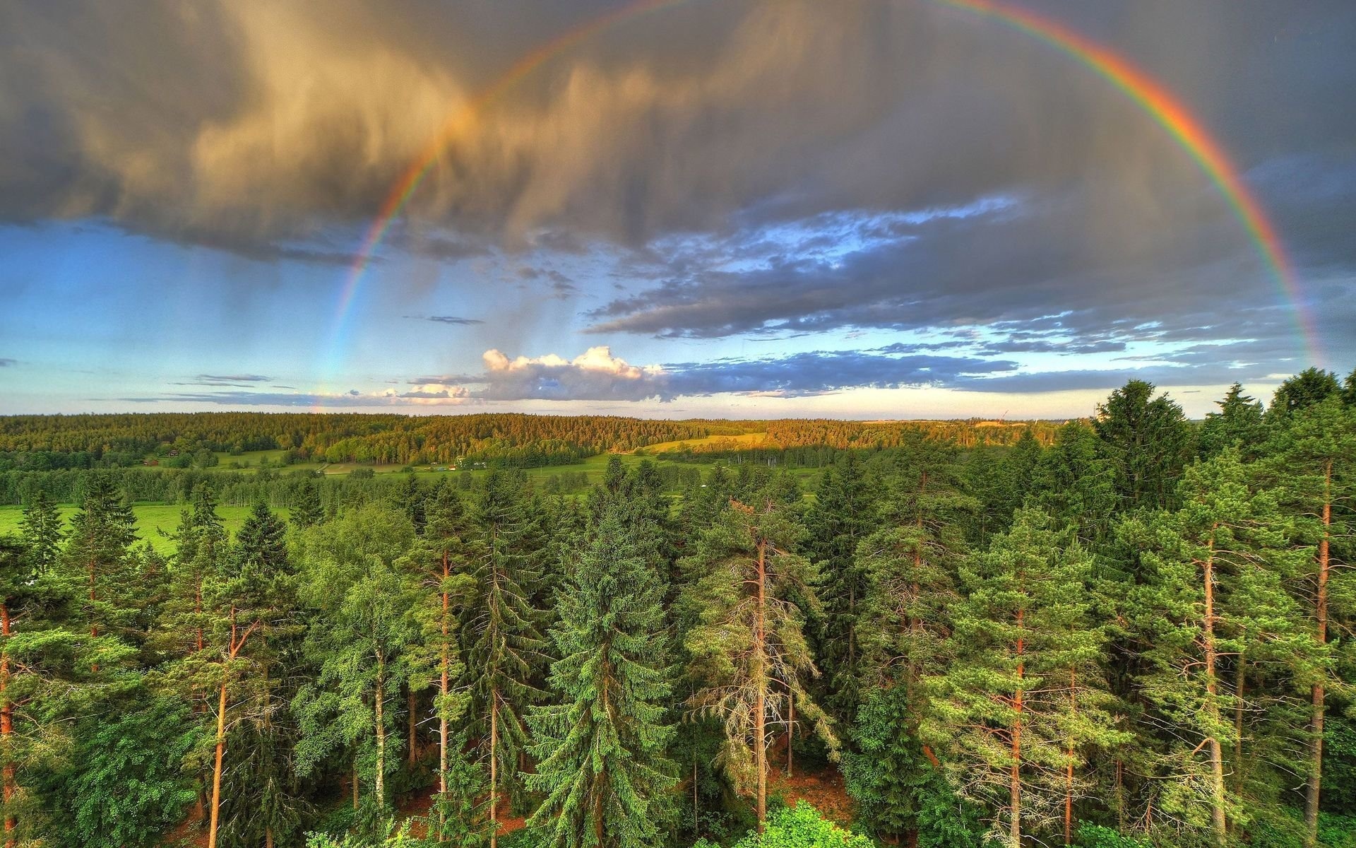 rainbow, sky, clouds, fields, plants