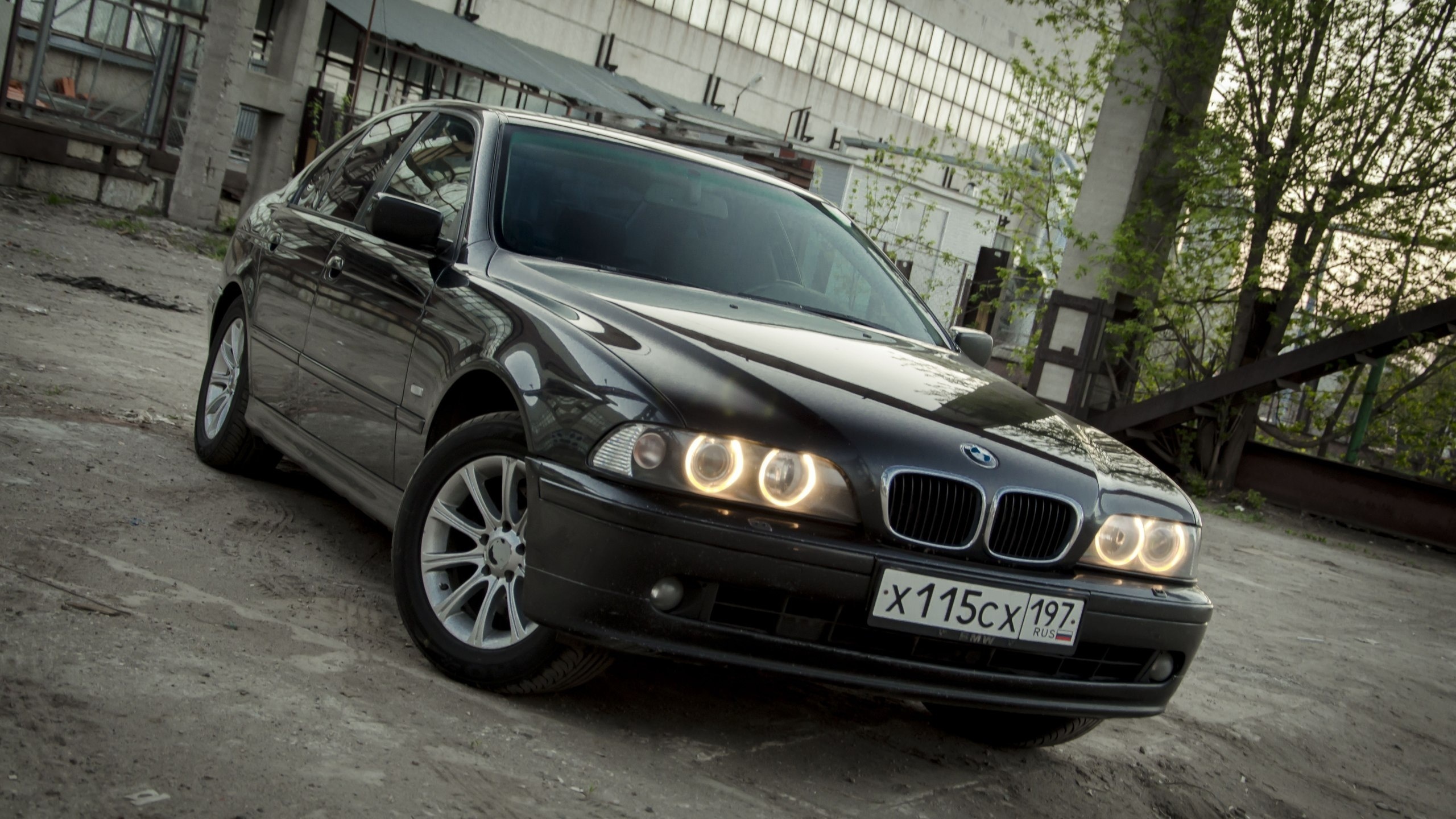 bmw, e39, , ,  