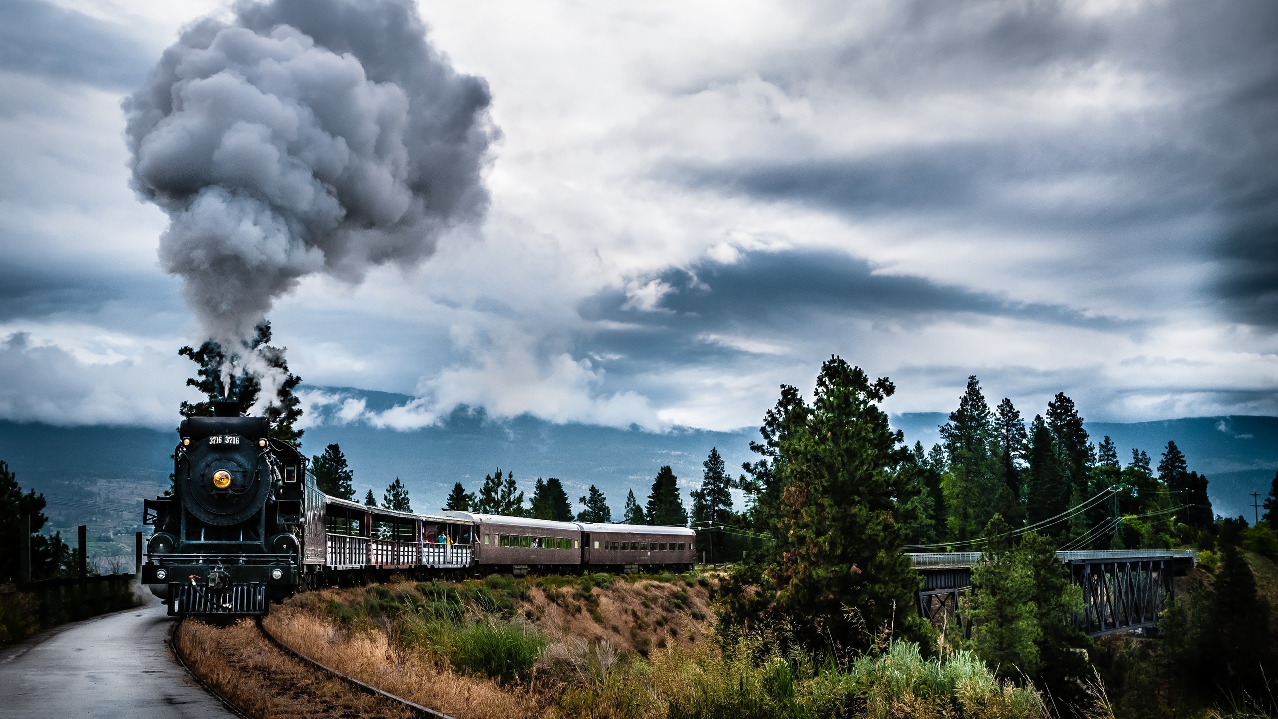 train, trees, , 