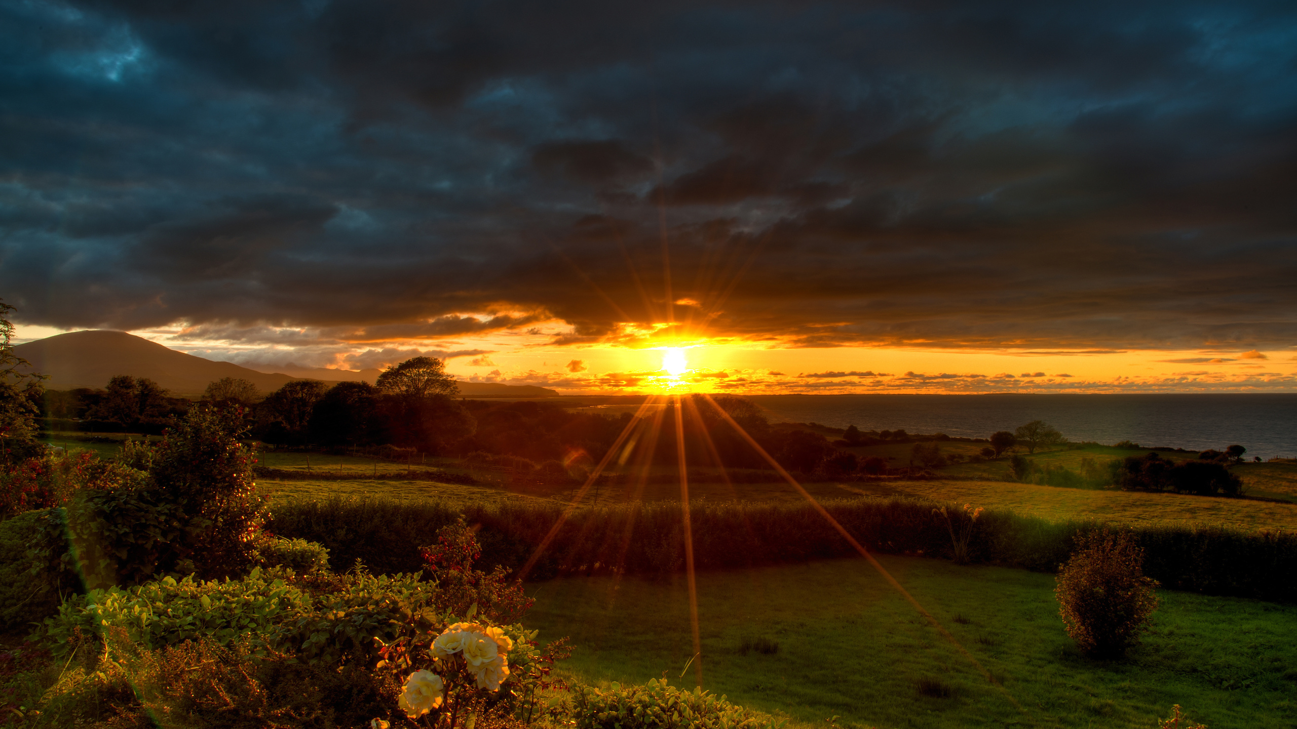 , , , , , , ,  , dingle, peninsula kerry, 