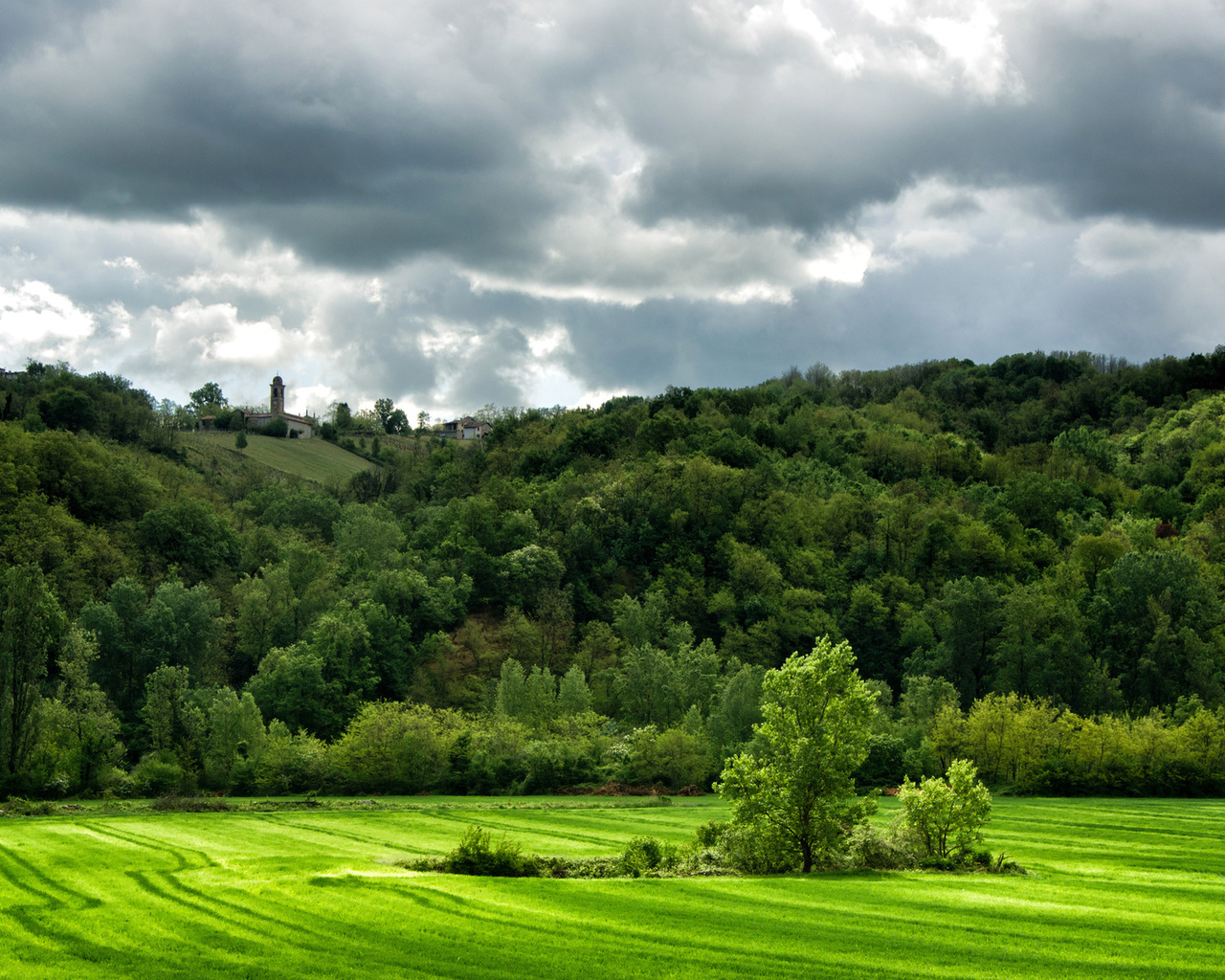 green, hills, tree, grass