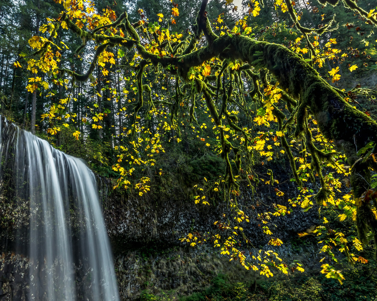 , , , , , , silver falls state park, 