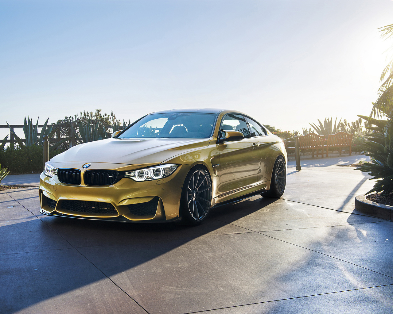 , , , , bmw, m4, f82