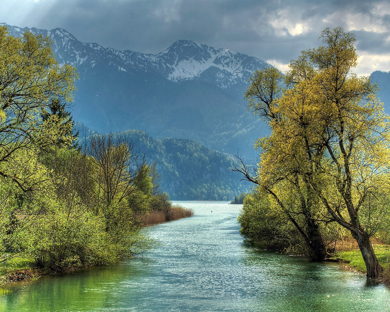 river, tree, mountain, water