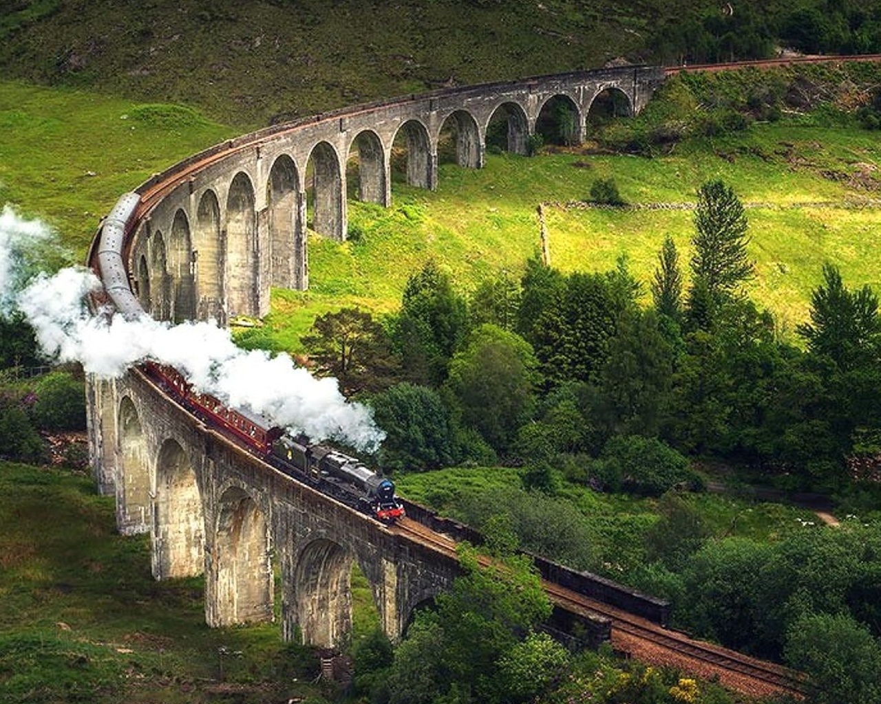 train, smoke, bridge, forest