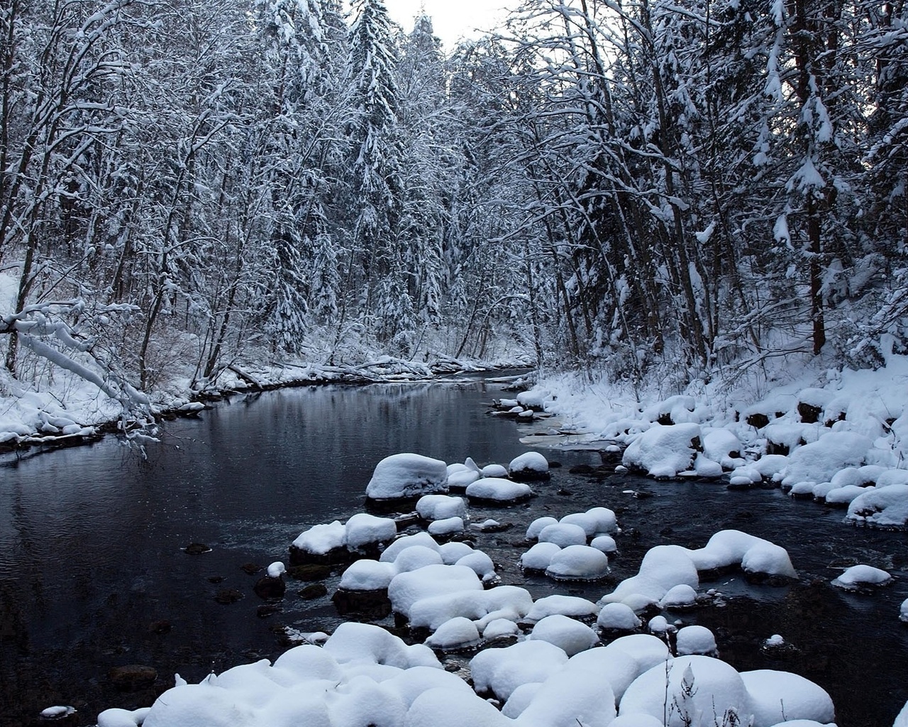 winter, river, snow, ice, tree