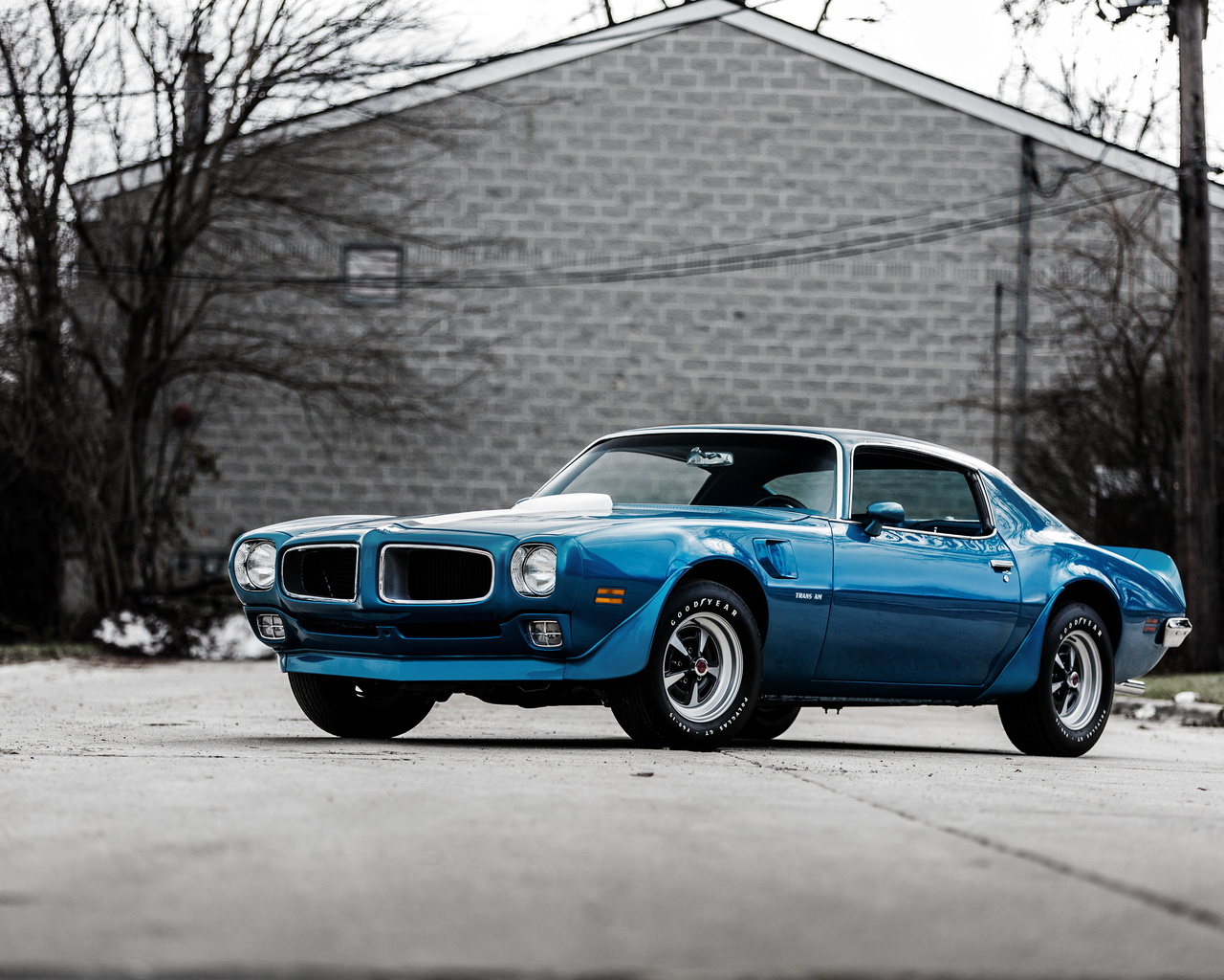 pontiac, , 1970, firebird