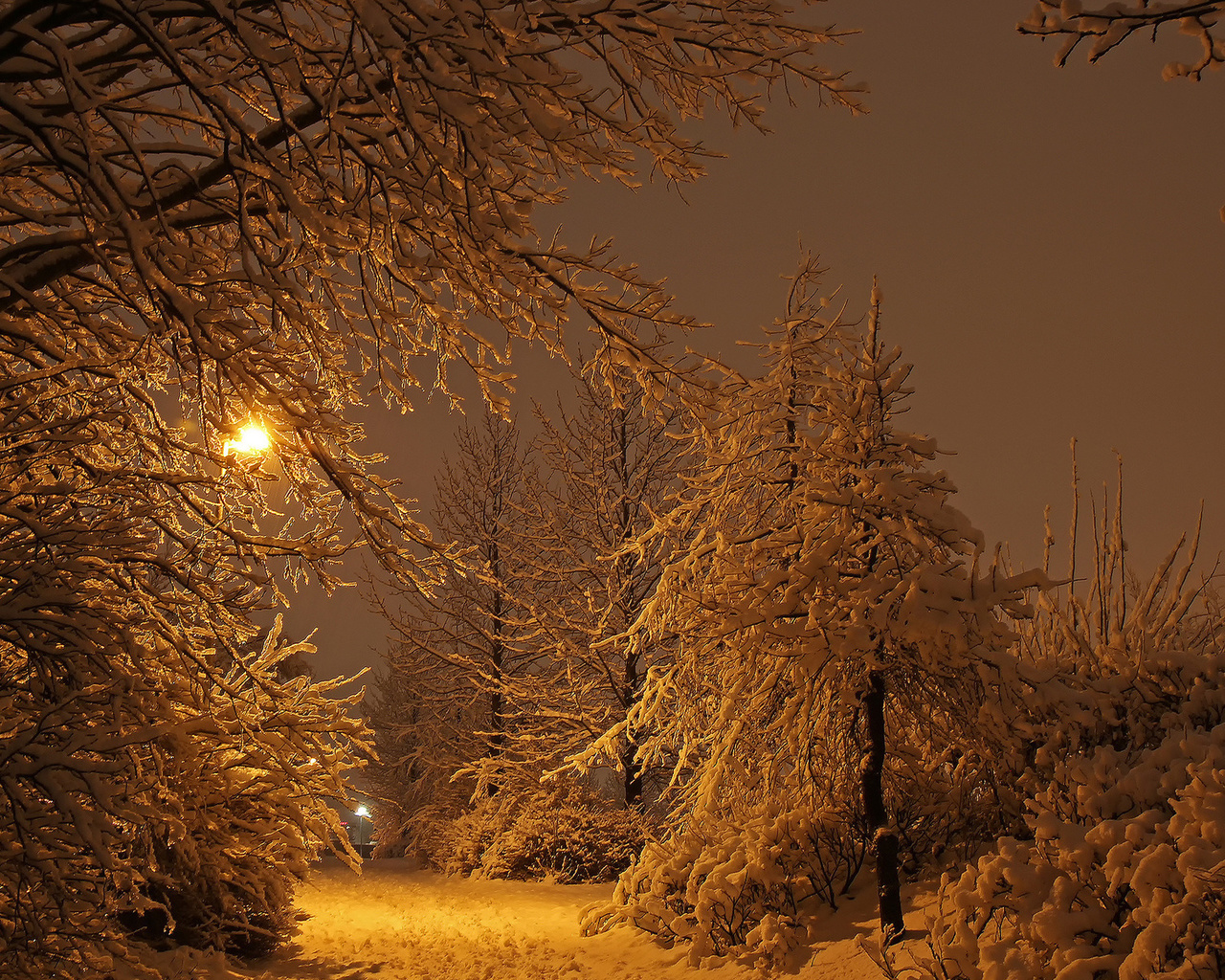 winter, snow, trees, lighthouse, night