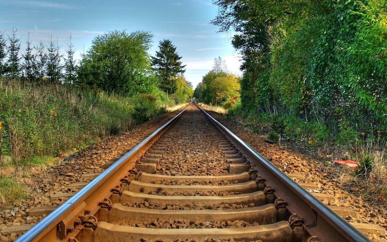 railroad, tree, sky, stones