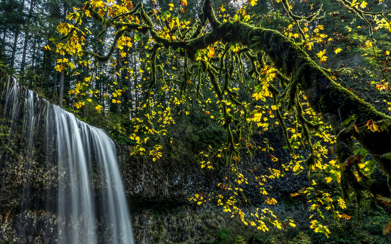 , , , , , , silver falls state park, 