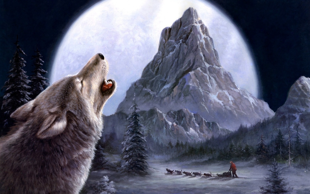 sled, wolf, mountain, moon, winter, snow, night