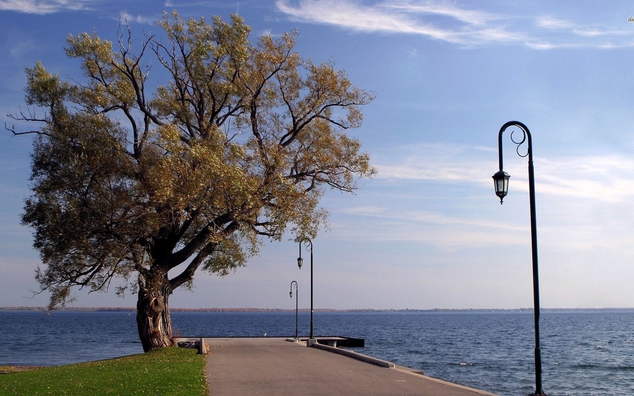 lighthouse, lake, dock, tree, water