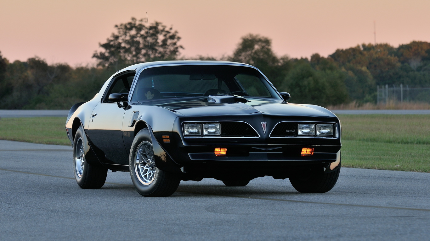 pontiac, , , 1978, firebird trans am ws6, t-top