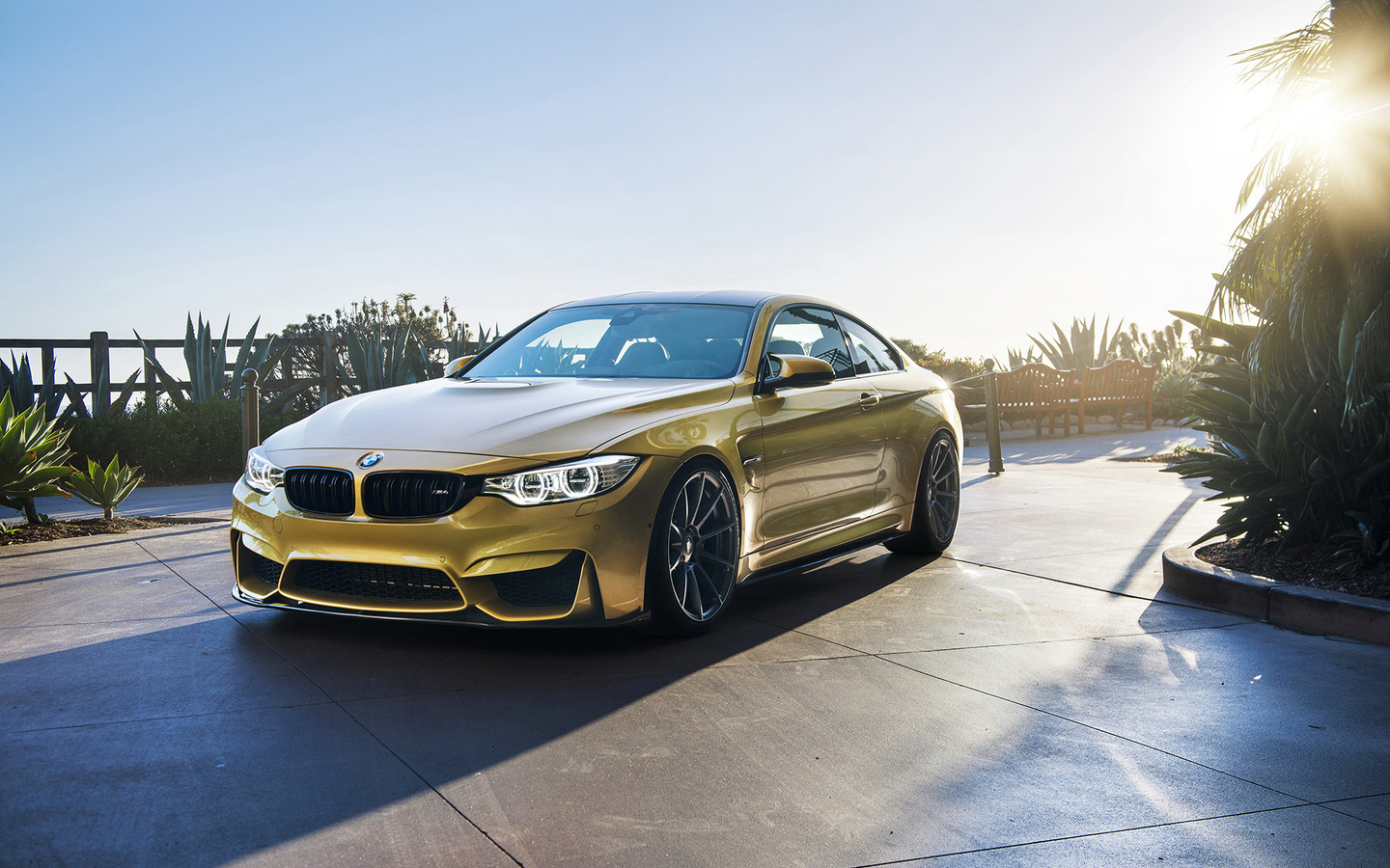 , , , , bmw, m4, f82