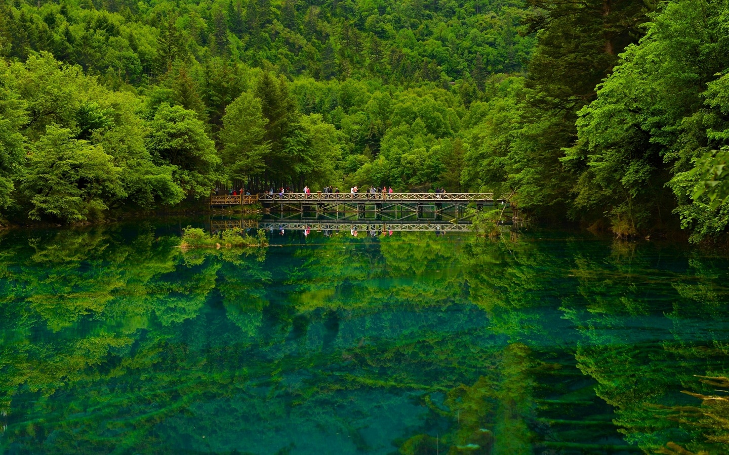 , , , , jiuzhaigou sichuan, 