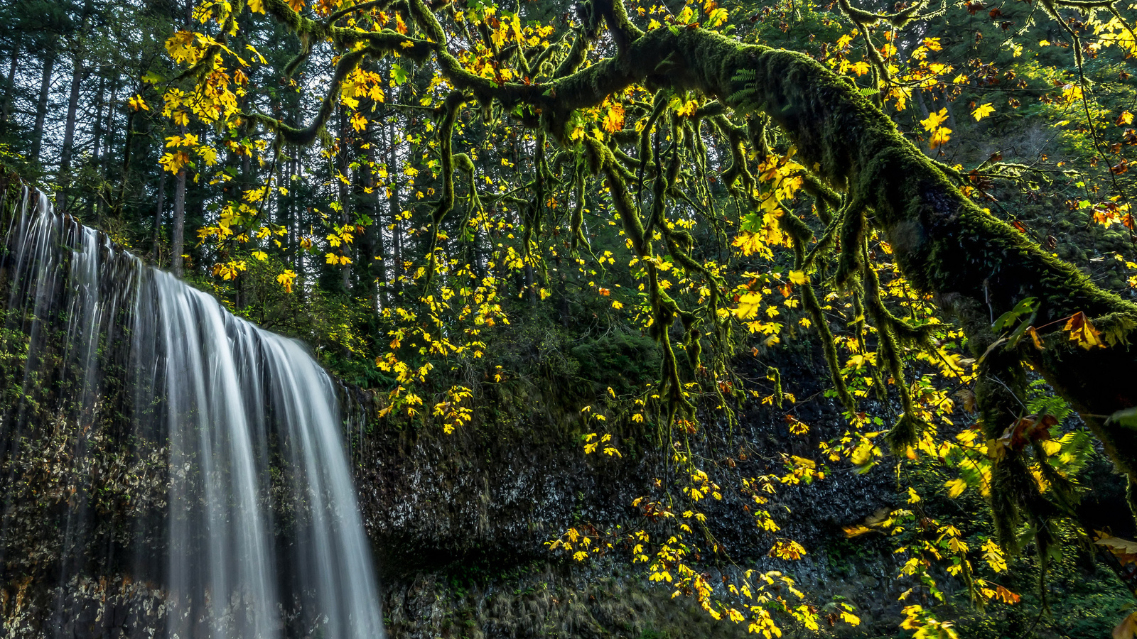 , , , , , , silver falls state park, 