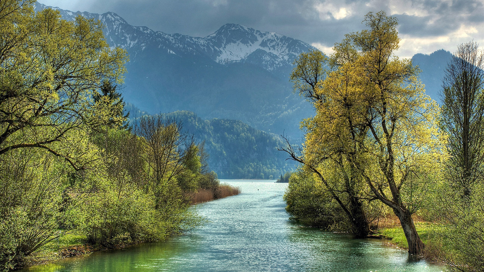 river, tree, mountain, water