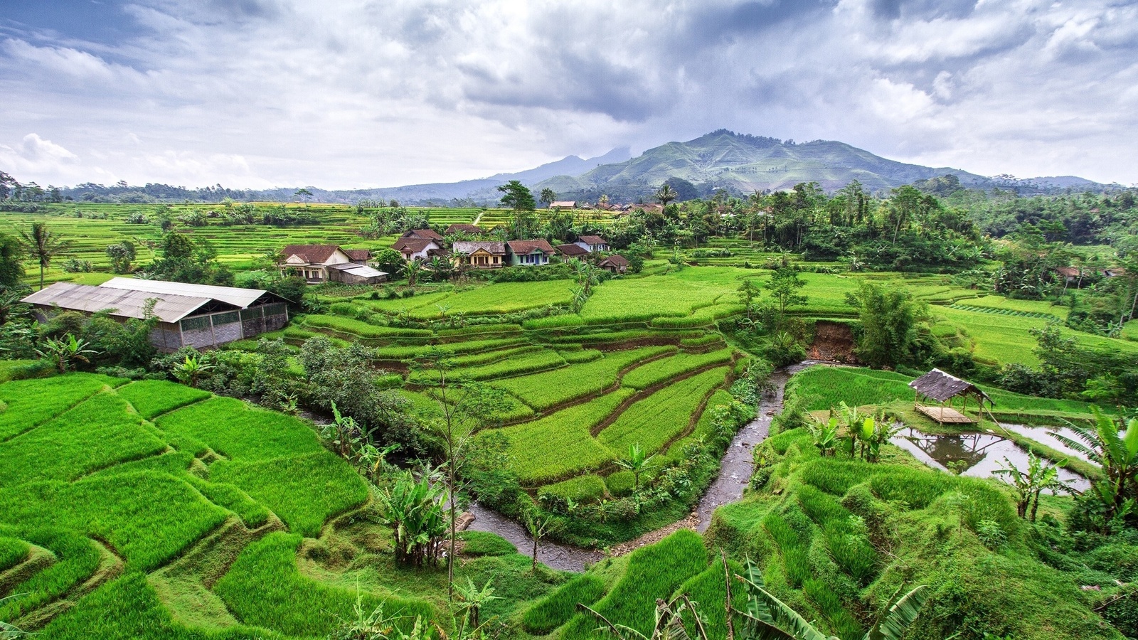 village, houses, hills, trees, river