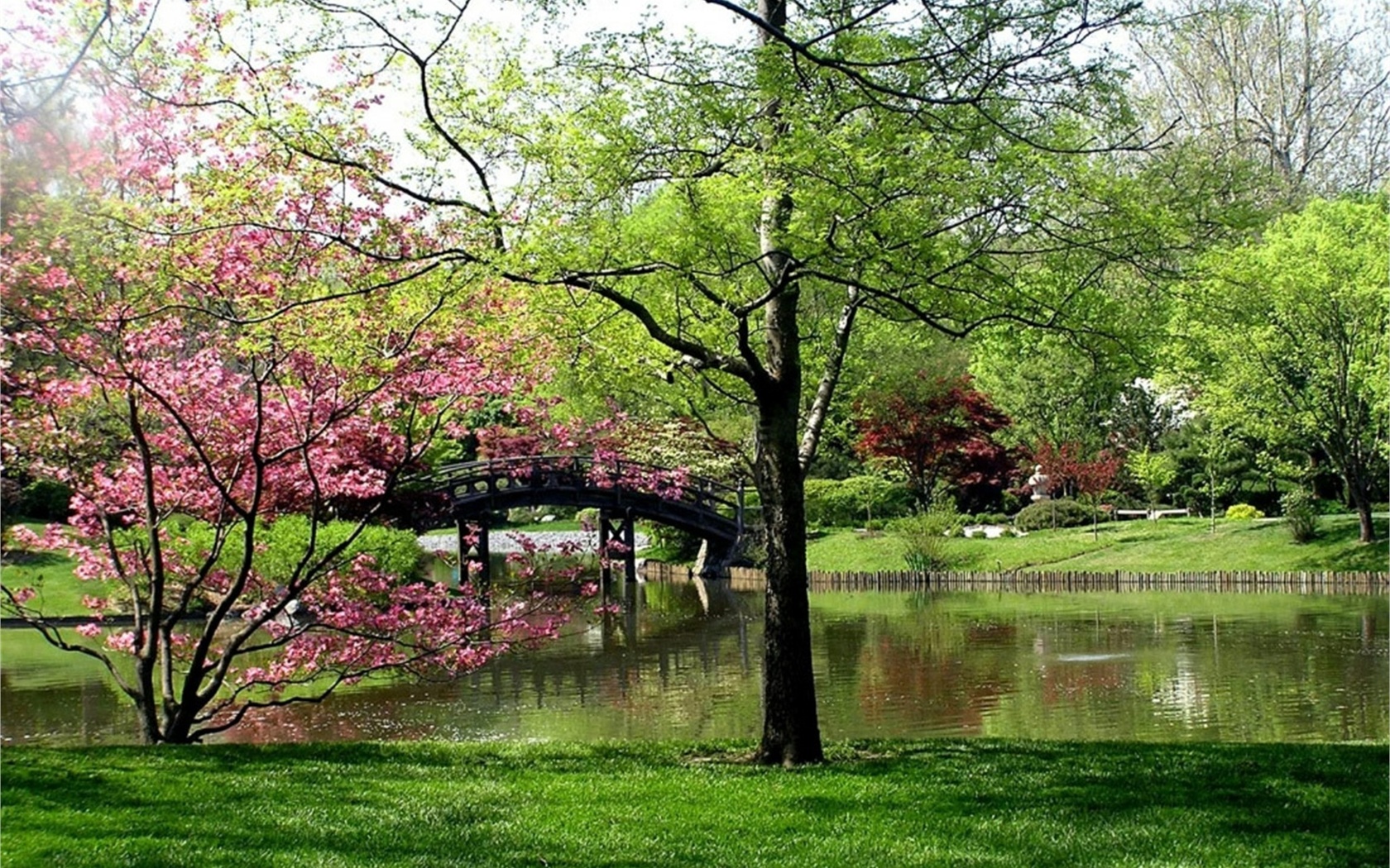 garden, bridge, tree, water, grass