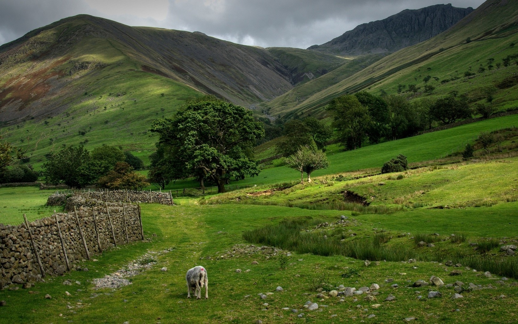 wall, green, grass, mountain