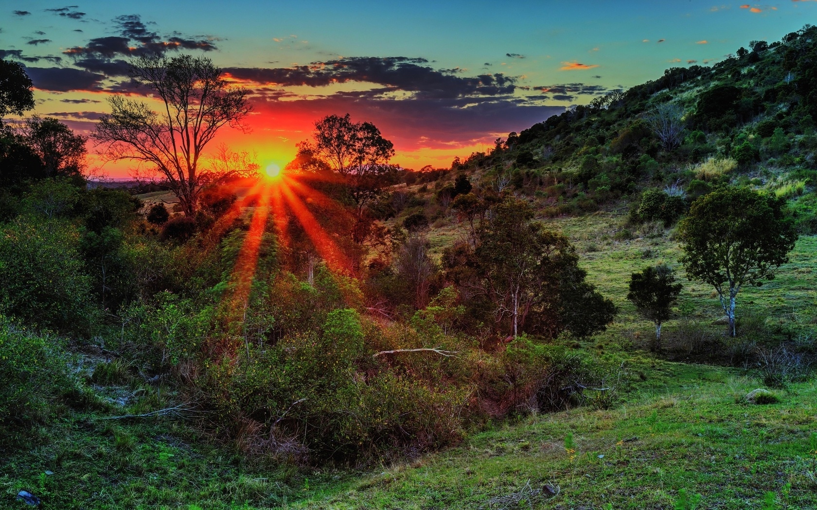 sunrise, tree, sunlight, mountain