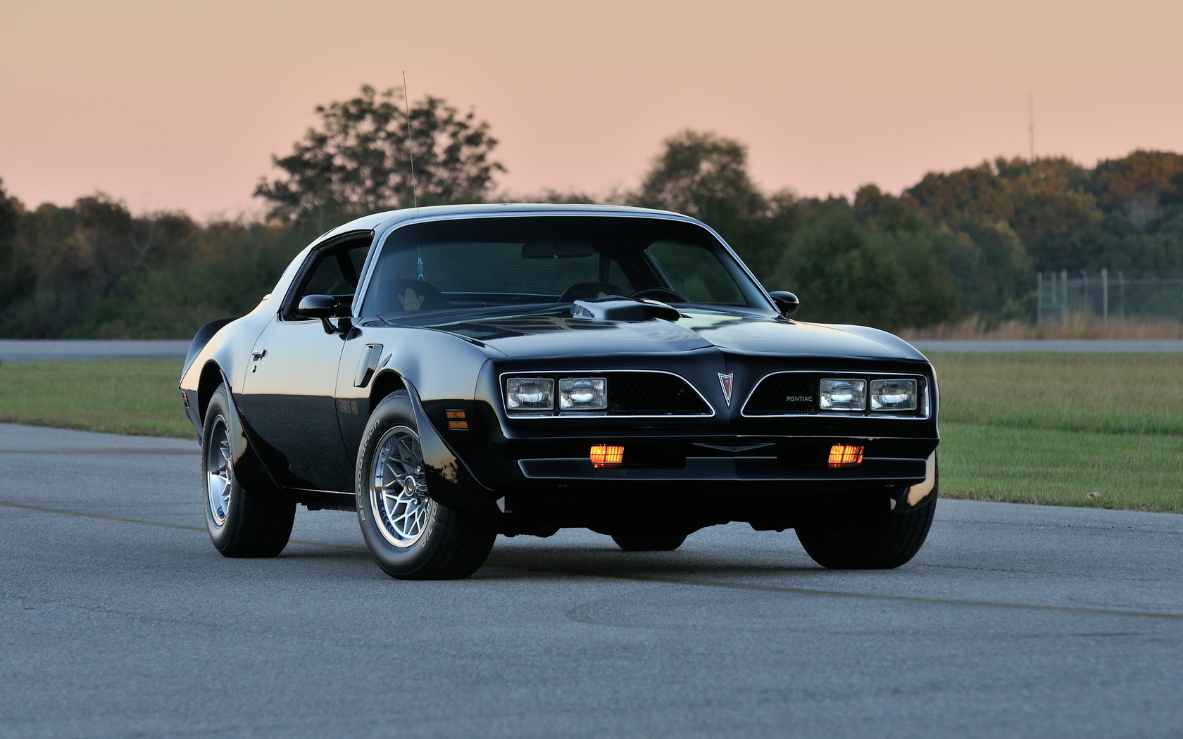 pontiac, , , 1978, firebird trans am ws6, t-top