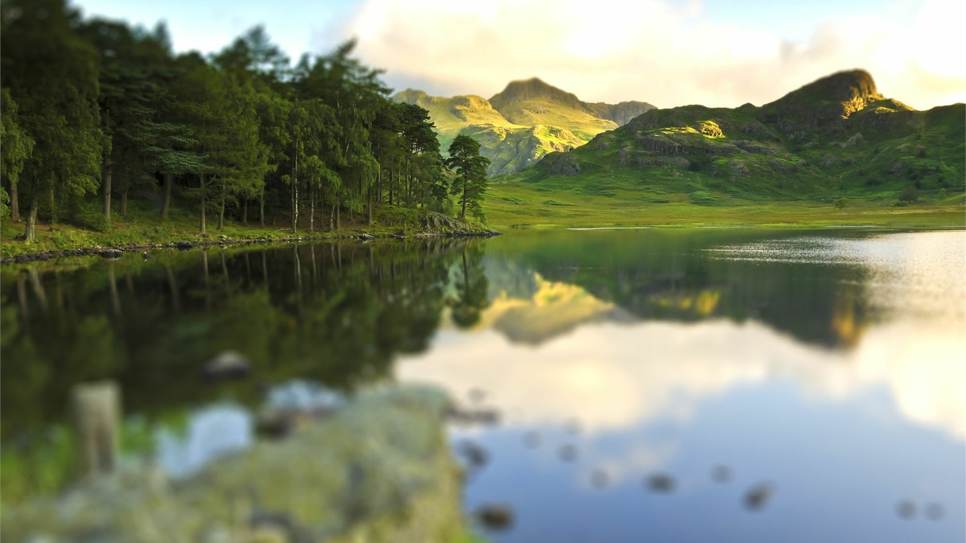 lake, reflextion, tree, water, grass