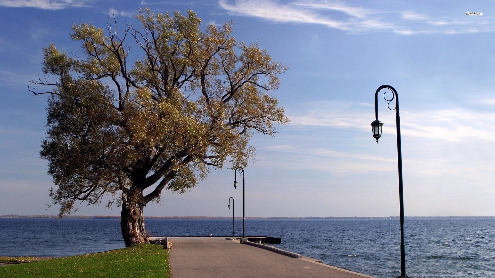 lighthouse, lake, dock, tree, water