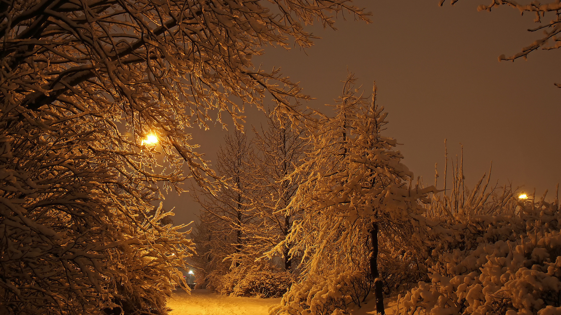 winter, snow, trees, lighthouse, night