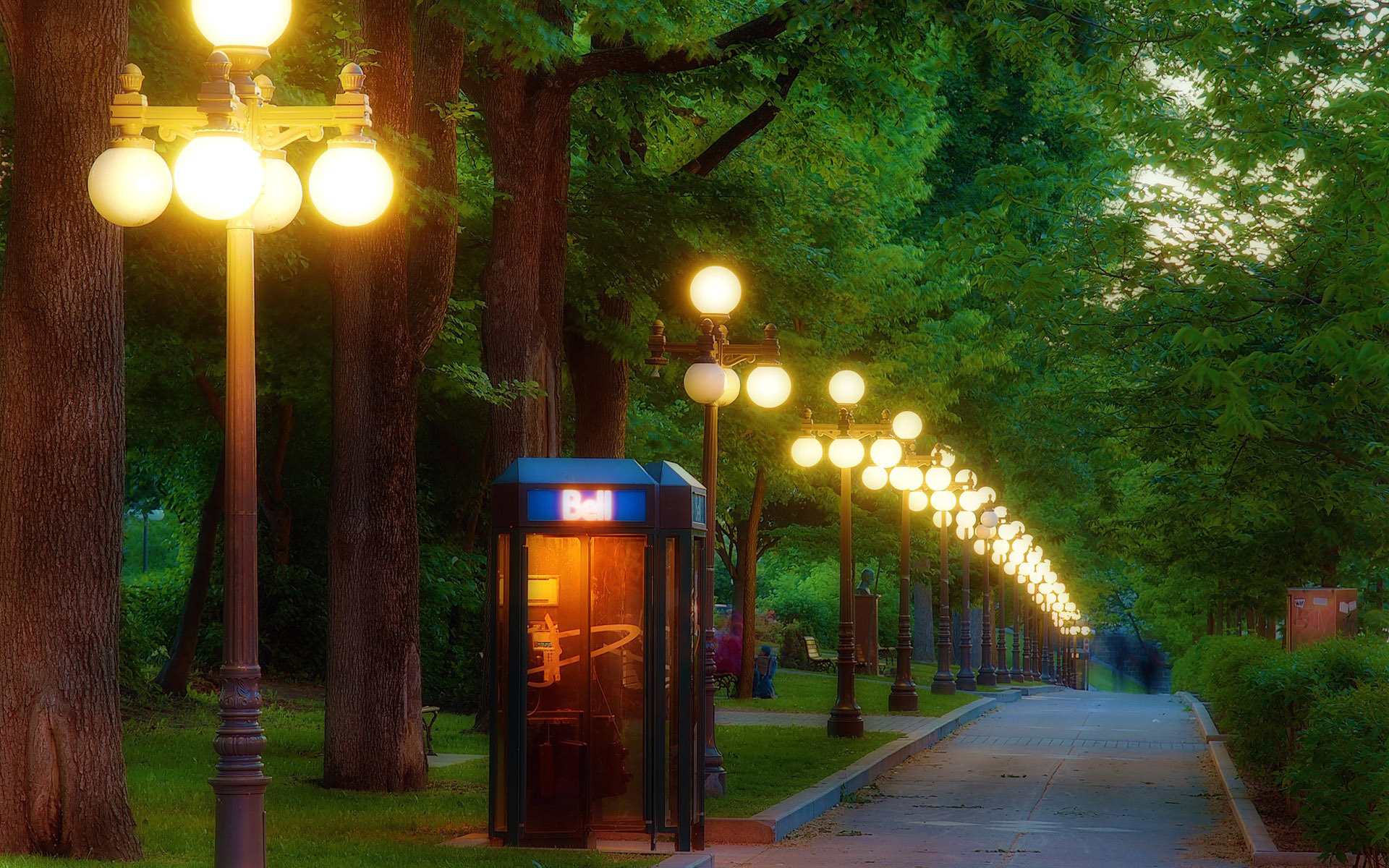 telephone, booth, park, lights