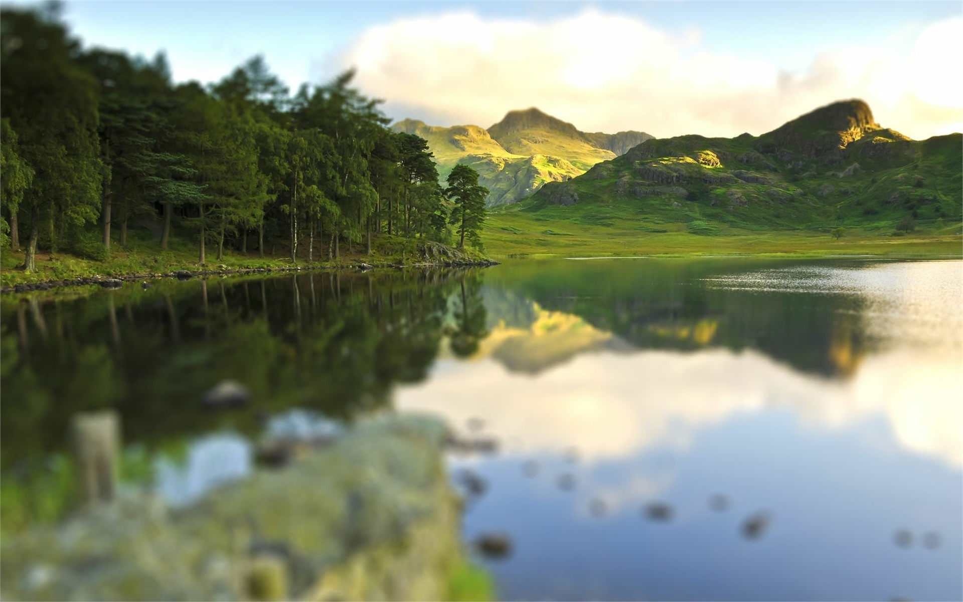 lake, reflextion, tree, water, grass