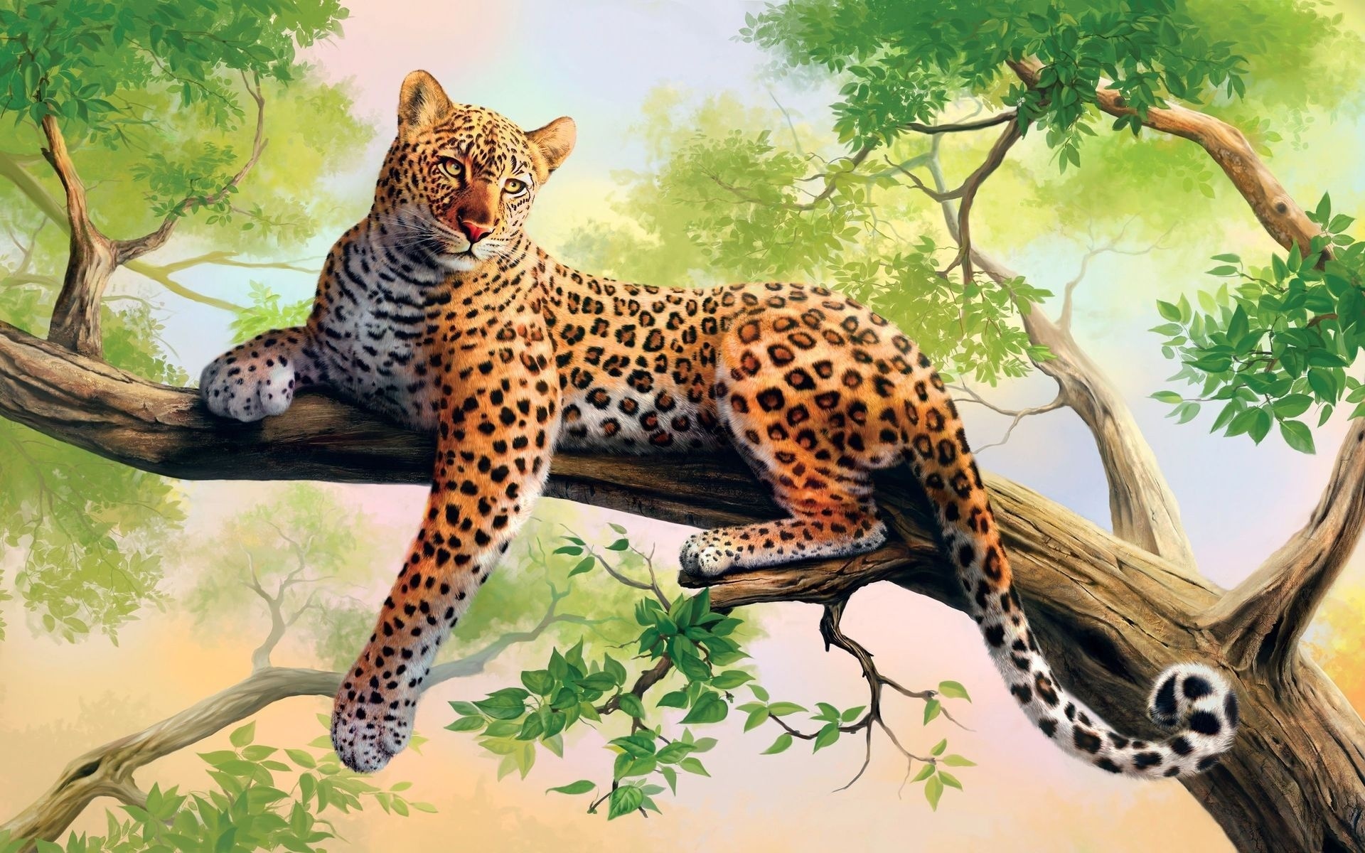 leopard, lazy, branch, tree