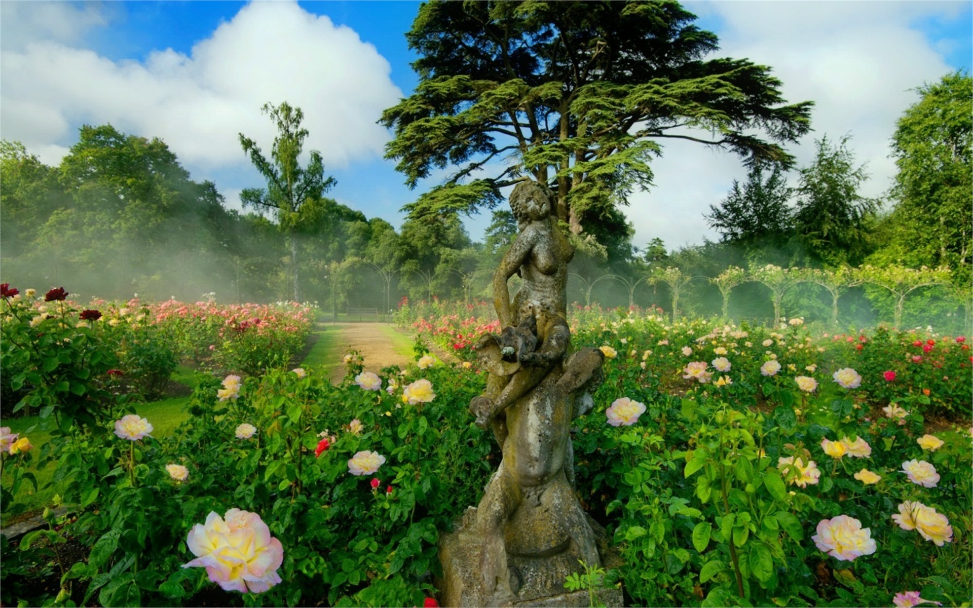 garden, flowers, tree, grass