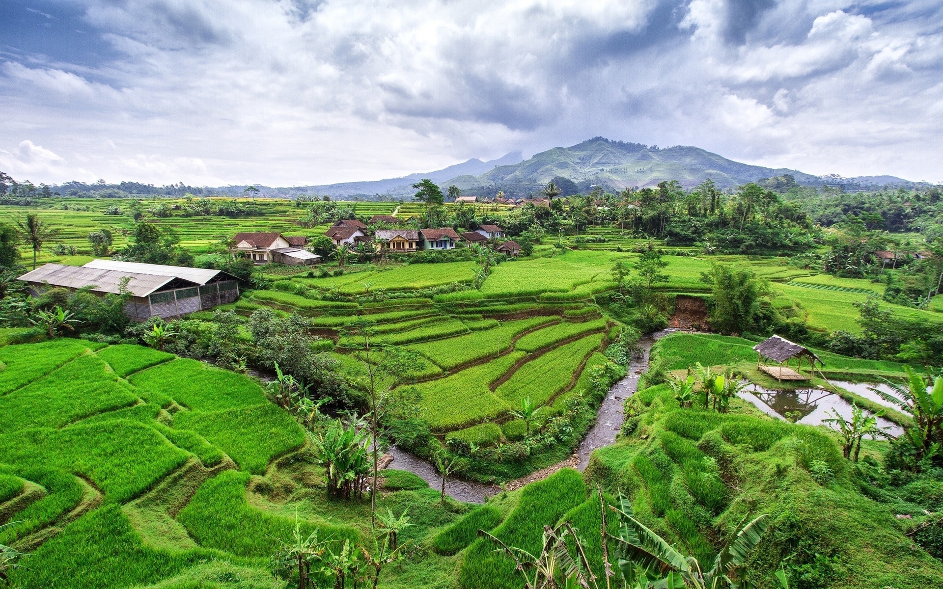 village, houses, hills, trees, river