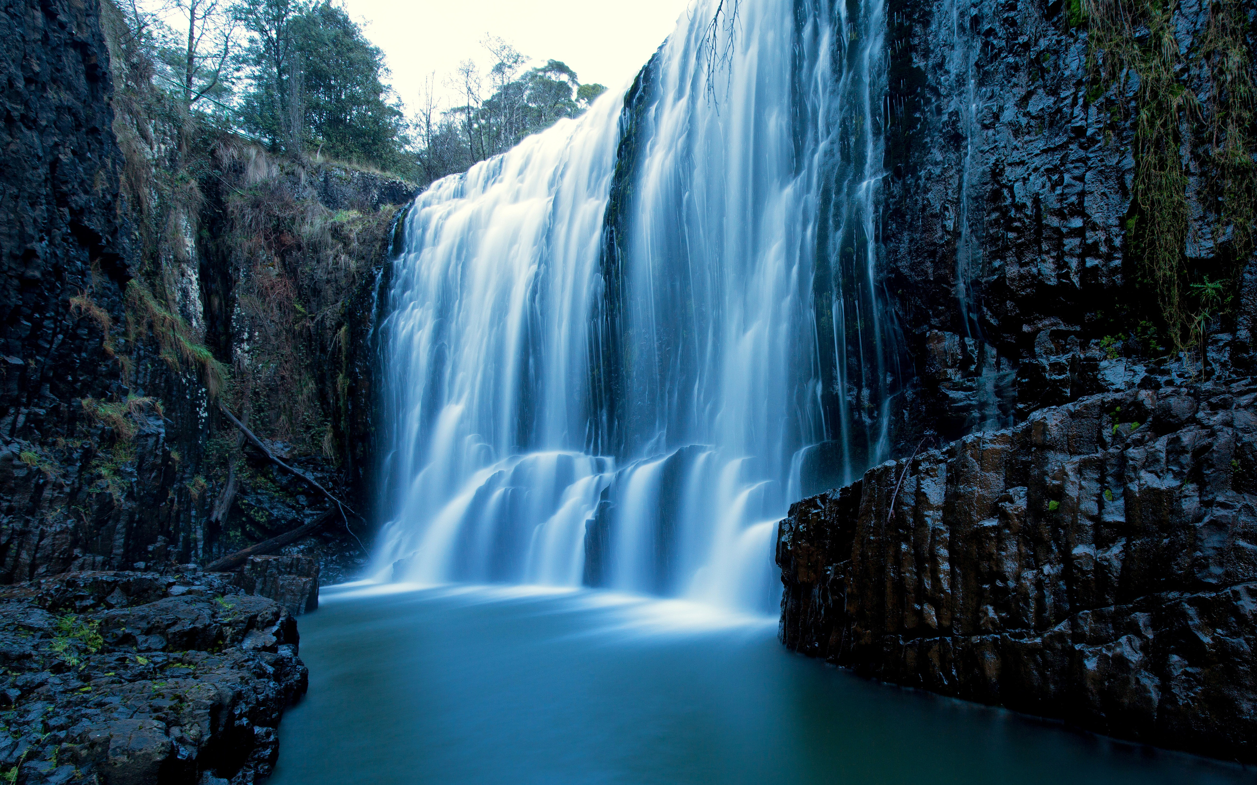 , , , west ridgley tasmania, 