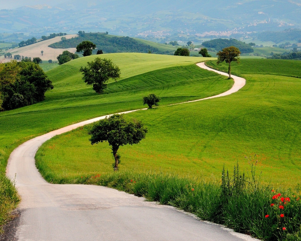 grass, green, road, hills