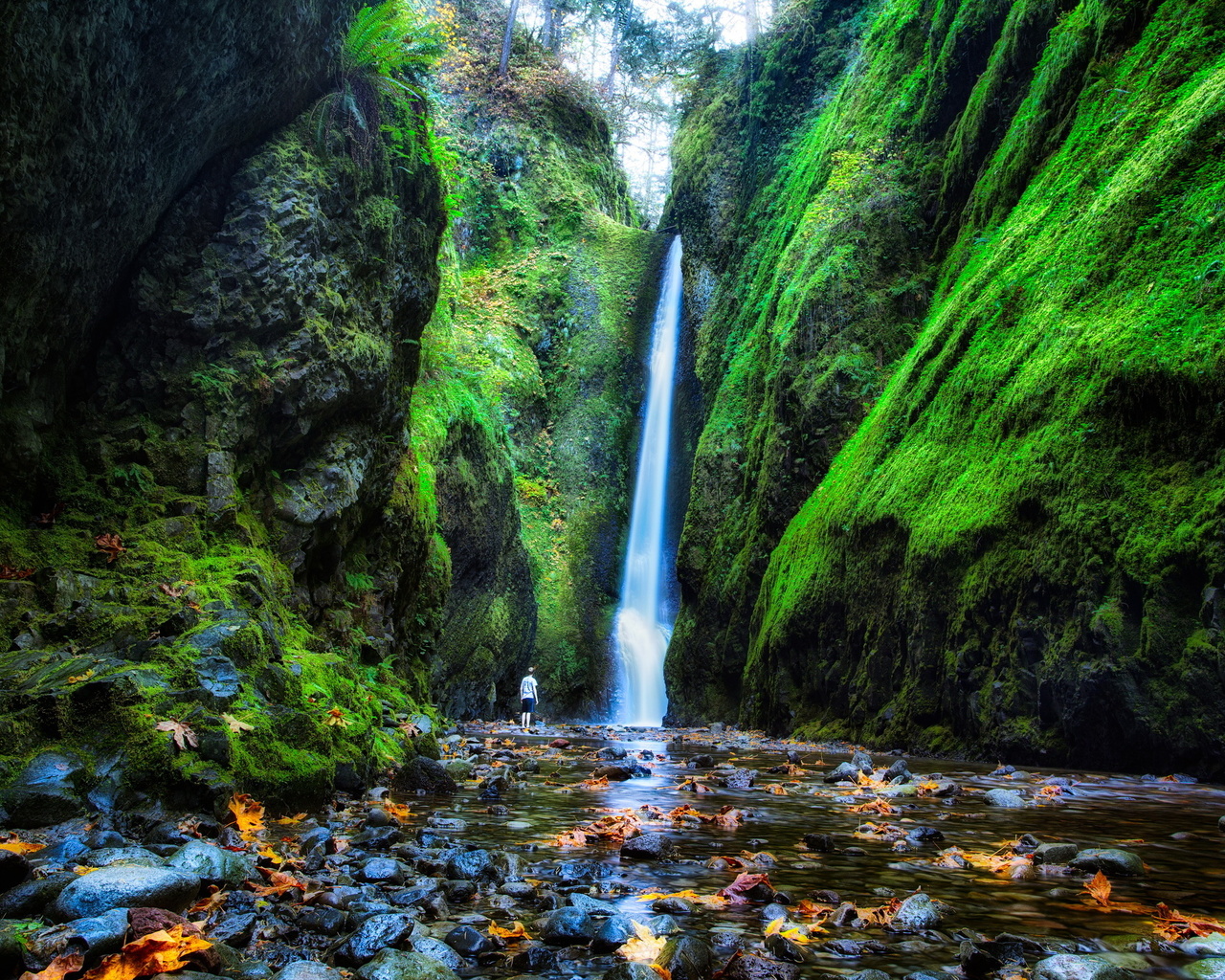 , , , , oneonta falls, oregon, 