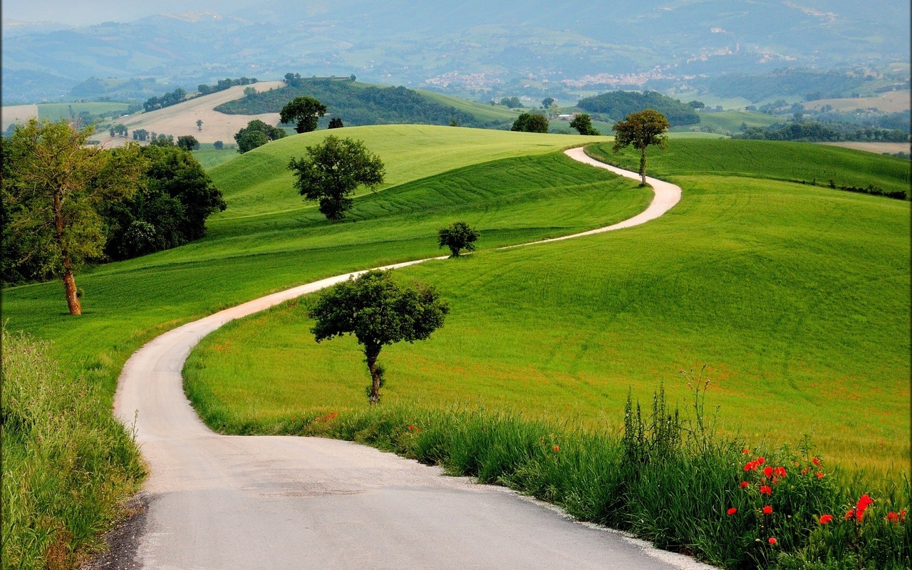 grass, green, road, hills