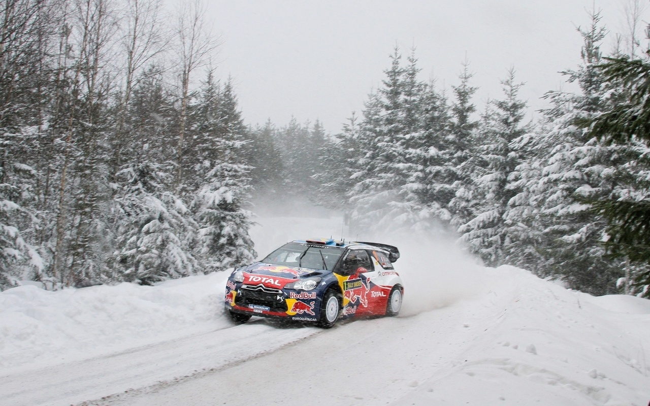 snow, rally, forest, winter