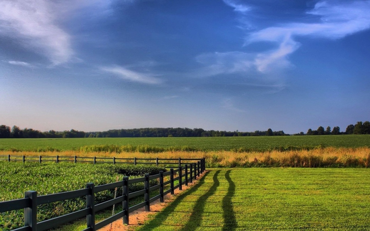 nature, fence, grass, fields