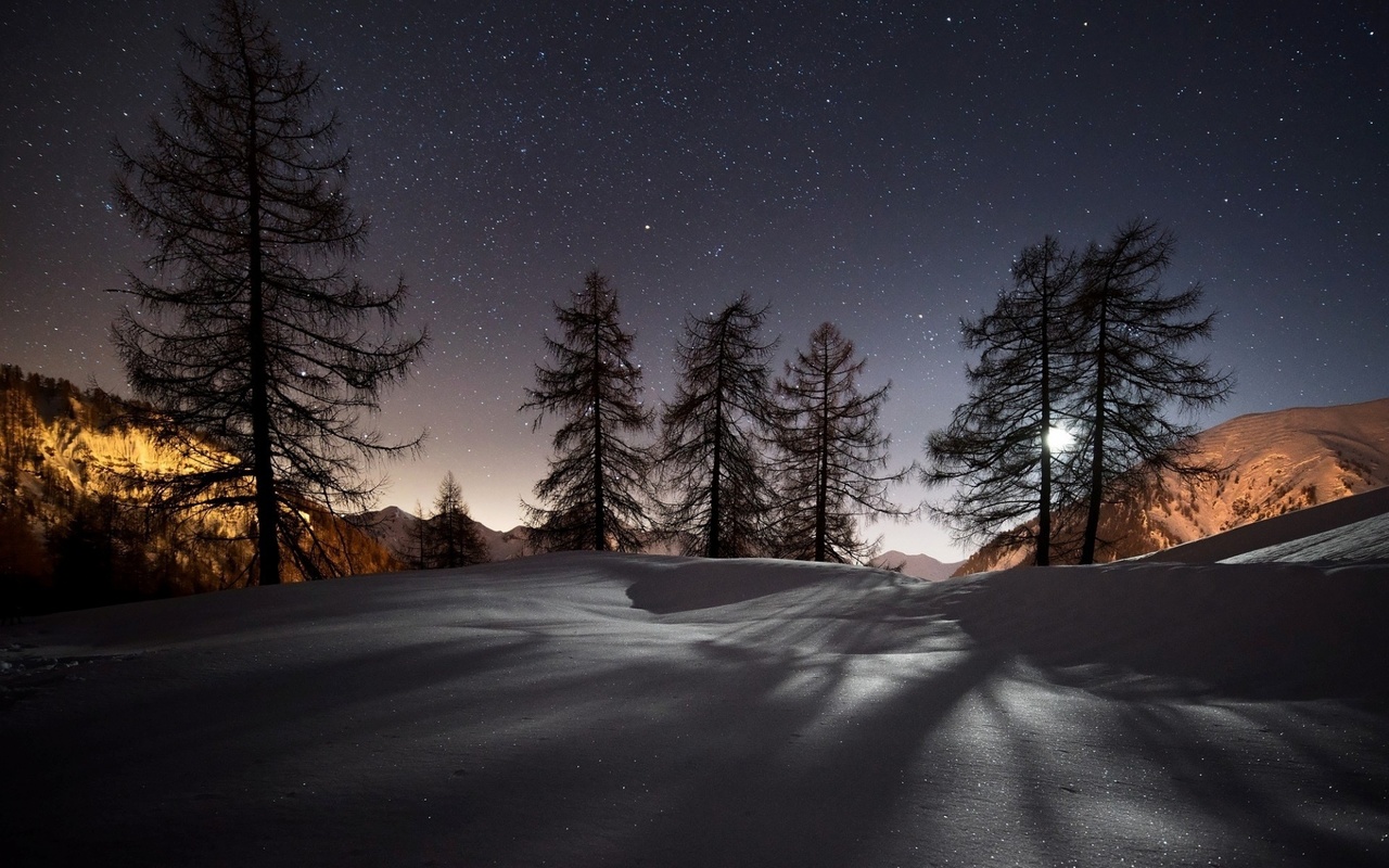 winter, snow, tree, forest, , , , , , , , , , 