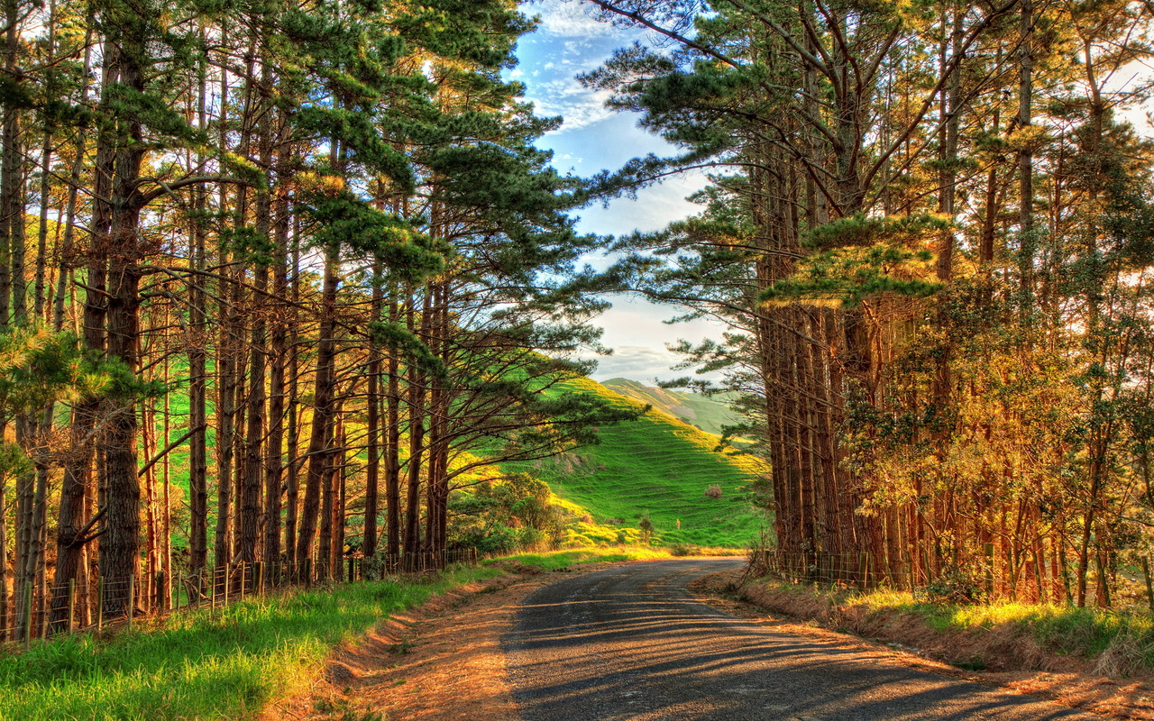 path, hills, trees, field, , , , , , , , , ,, , 