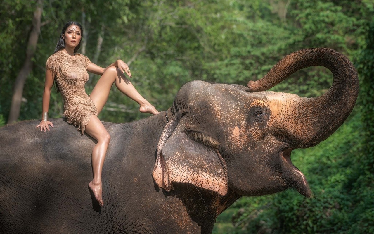 1280px x 800px - Elephant and girl sex porn image Â» Perfect Tits Porn