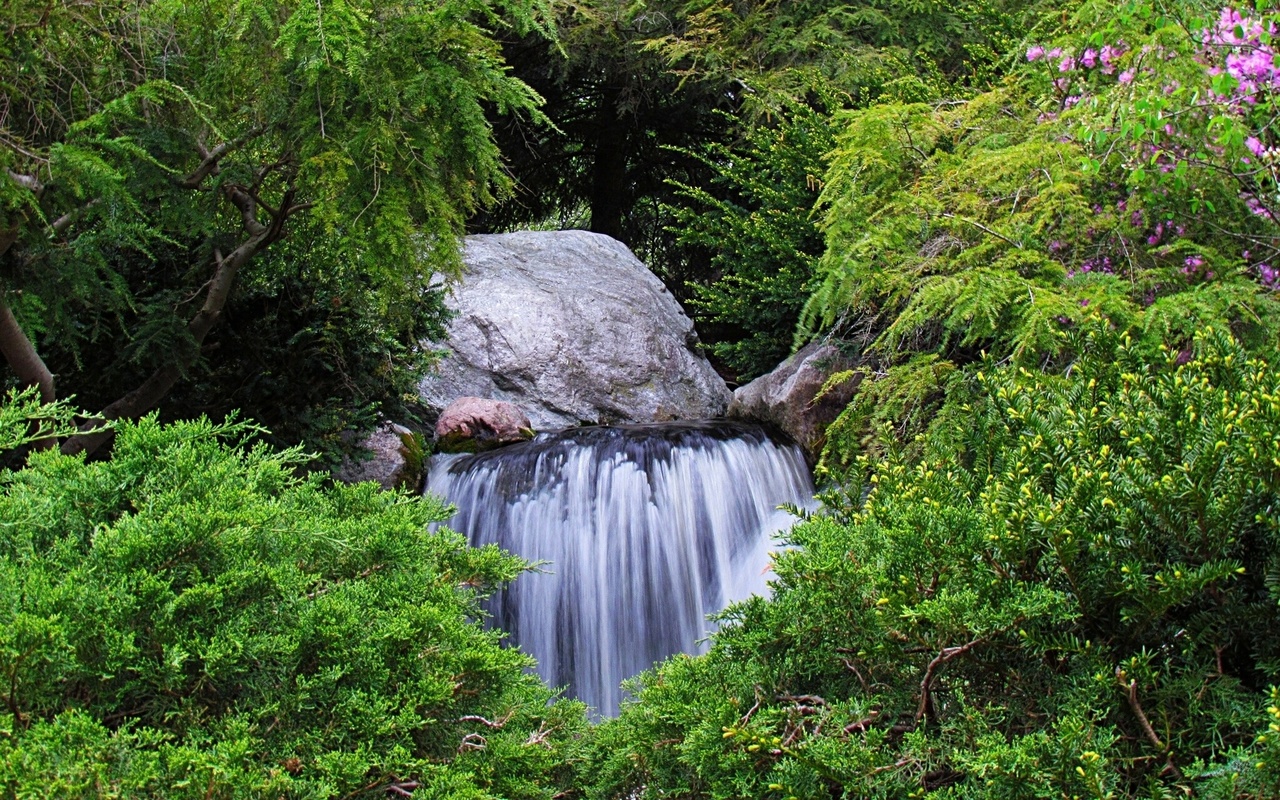 garden, waterfall, trees, water, green