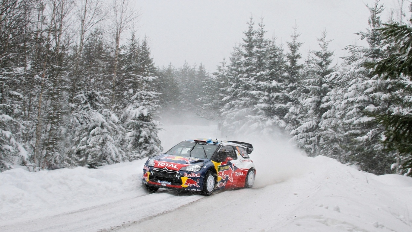 snow, rally, forest, winter