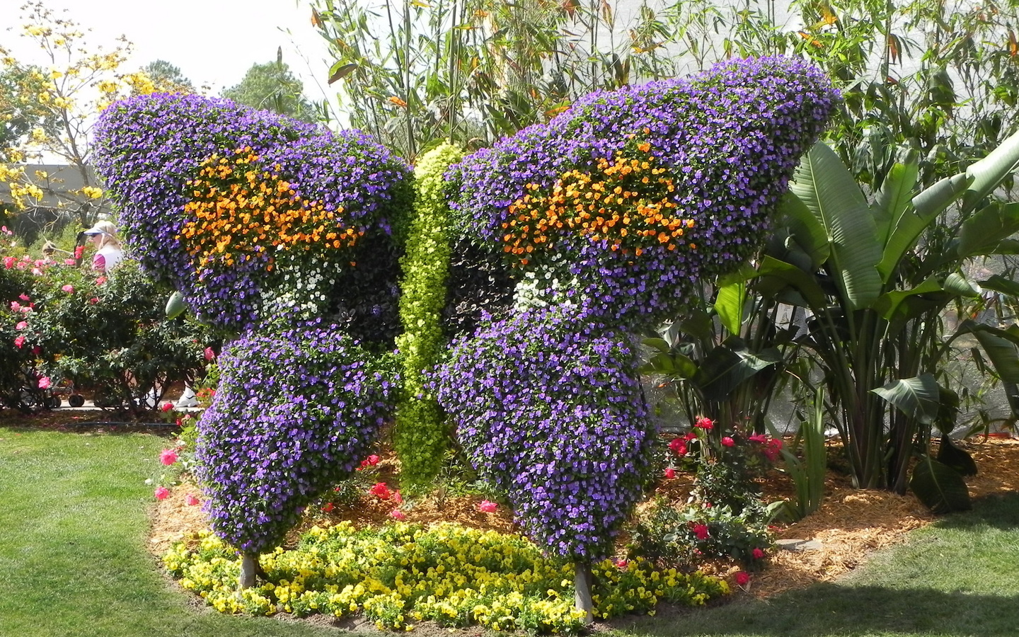 , , epcot, international, flower, garden, festival, , 