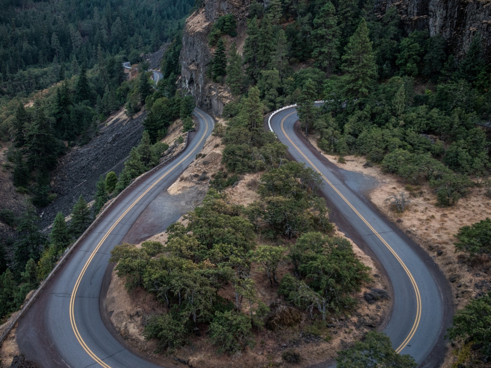 road, asphalt, moutain, forest