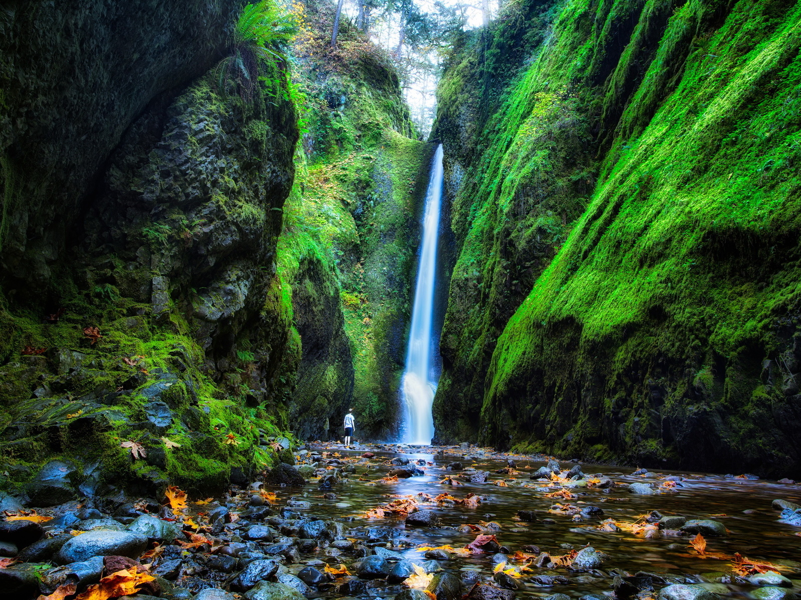 , , , , oneonta falls, oregon, 