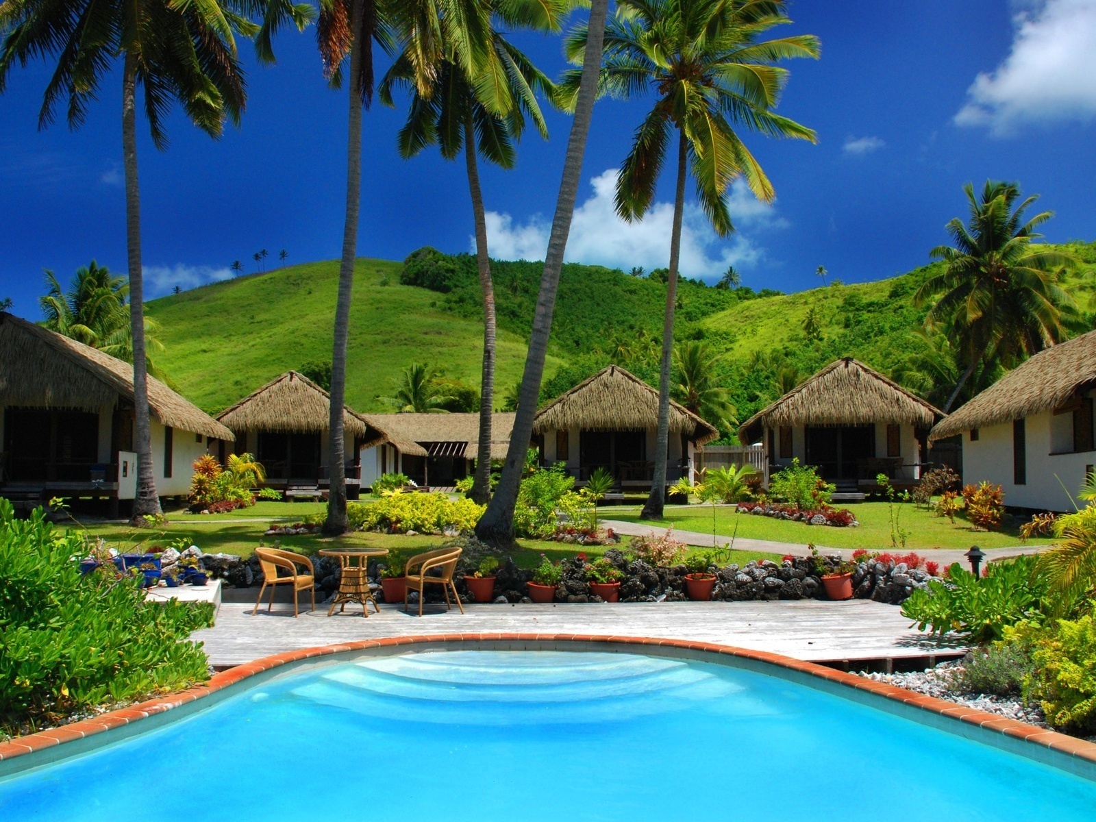 vacation, palm trees, swimming pool, tropical