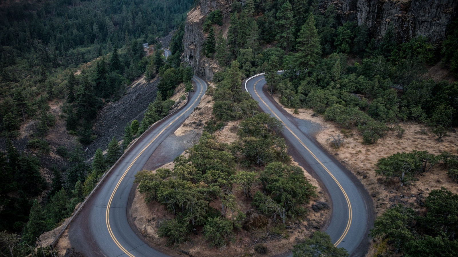 road, asphalt, moutain, forest